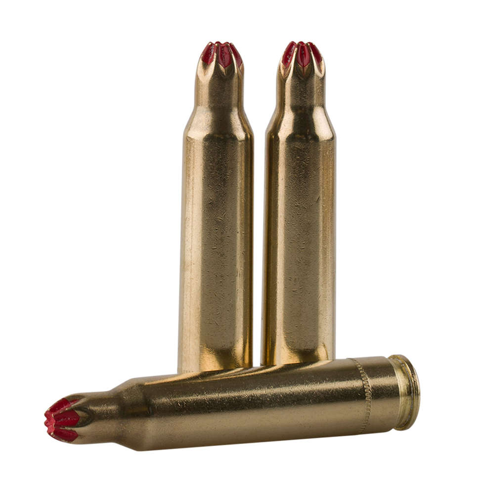 Ammunition TR&Z USA Trading Corp. 100 223Rem|5.56NATO PPU PPB556      5.56X45 BLANK M200          20/100 • Model: 100